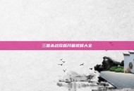 三国杀战役版开箱视频大全