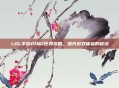 LOL手游PING任务攻略，提升游戏体验的秘诀
