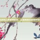 CSGO战场上的默契协作，玩家间的鼓励如何铸就胜利