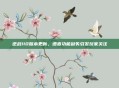 逆战110版本更新,语音功能缺失引发玩家关注