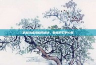 掌握终极技能的秘诀，破极兵刃的力量