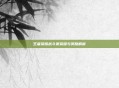 王者荣耀战斗赛荣耀与奖励解析