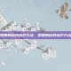 阳萎的自我治疗方法，阳萎的自我治疗方法