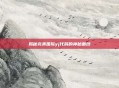 揭秘完美国际yj代码的神秘面纱