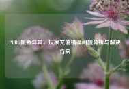 PUBG氪金异常，玩家充值错误问题分析与解决方案