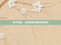 皇子皮肤,游戏世界中的华丽变身