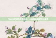 PUBG更名为和平精英，游戏名称的国际化探索