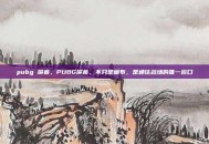 pubg 屏幕，PUBG屏幕，不只是画布，是通往战场的唯一窗口
