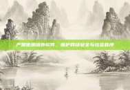 严禁使用境外软件，维护网络安全与社会秩序