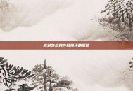 应对勿忘我存档损坏的策略