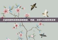 王者荣耀传说皮肤深度解析，性能、外观与玩家反馈全览