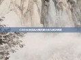 COD16游戏高占用问题分析与解决策略