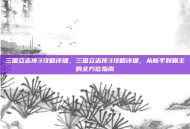三国立志传3攻略详细，三国立志传3攻略详细，从新手到霸主的全方位指南