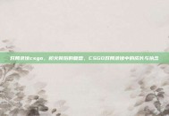 对局录像csgo，枪火背后的复盘，CSGO对局录像中的成长与执念