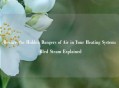 Beware the Hidden Dangers of Air in Your Heating System: Bled Steam Explained