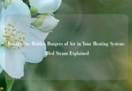 Beware the Hidden Dangers of Air in Your Heating System: Bled Steam Explained