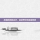 鳄鱼的神秘名字，自然界中的英雄联盟
