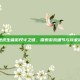 绝地求生端游尺寸之谜，探索游戏细节与玩家体验