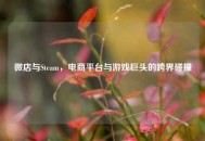      与Steam，电商平台与游戏巨头的跨界碰撞