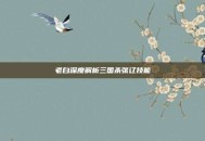 老白深度解析三国杀张辽技能