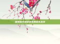探索替代绝地求生的镜头选择