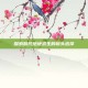 探索替代绝地求生的镜头选择
