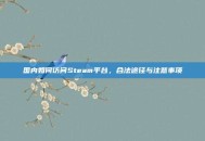 国内如何访问Steam平台，合法途径与注意事项