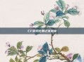 CF游戏比赛记录查询