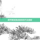 和平精英团战隐身技巧全解析