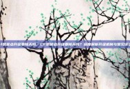 cf荣誉点升级要隔天吗，CF荣誉点升级要隔天吗？深度解析升级机制与常见误区
