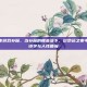 命运之夜游戏补魔，当补魔的帷幕落下，论命运之夜中的生命诗学与人性质询