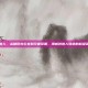 漫威创始人，从破旧办公室到宇宙帝国，漫威创始人缔造的超级英雄神话
