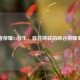 王者荣耀24音乐，音符铸就的峡谷荣耀史诗