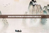 恶魔城晓月圆舞曲魂游戏深度解析与体验分享