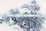 木棉花功效，木棉花功效，南国春日的药食同源之宝