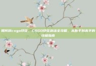 如何刮csgo印花，CSGO印花刮法全攻略，从新手到高手的终极指南