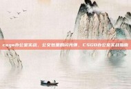 csgo办公室实战，公文包里的闪光弹，CSGO办公室实战指南