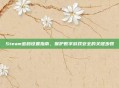 Steam密码设置指南，保护数字游戏安全的关键步骤