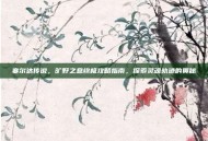 塞尔达传说，旷野之息终极攻略指南，探索灵魂轨迹的奥秘