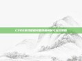 CSGO游戏报错问题深度解析与应对策略