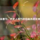 三国杀董匀，历史人物与游戏角色的完美结合