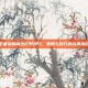 王者荣耀威少打野技巧，策略与技巧的完美融合