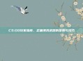 CS:GO玩家指南,正确清洗武器的步骤与技巧