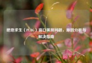 绝地求生（PUBG）窗口黑屏问题，原因分析与解决指南