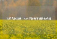 从菜鸟到战神，PUBG手游高手进阶全攻略