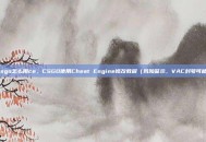 csgo怎么用ce，CSGO使用Cheat Engine修改教程（风险警示，VAC封号可能）