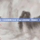 csgo怎么用ce，CSGO使用Cheat Engine修改教程（风险警示，VAC封号可能）