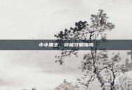 小小霸王，终极攻略指南