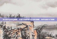 怎么进入pubg亚服，手把手教你进入PUBG亚服，新手必看入门指南