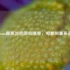 Steam萌系治愈游戏推荐，可爱风暴来袭！